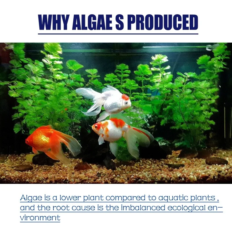 50g High Efficiency Algaecide  - Aquarium Marine Plants avis et prix