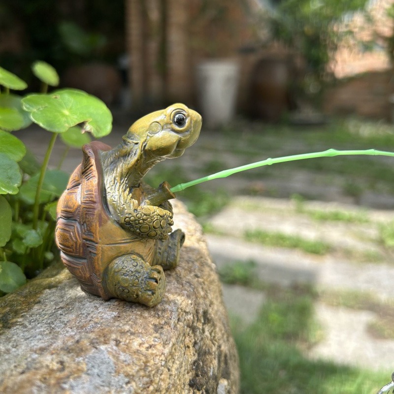 Turtle fishing fish tank aquar - Marine Aquarium Tanks avis et prix