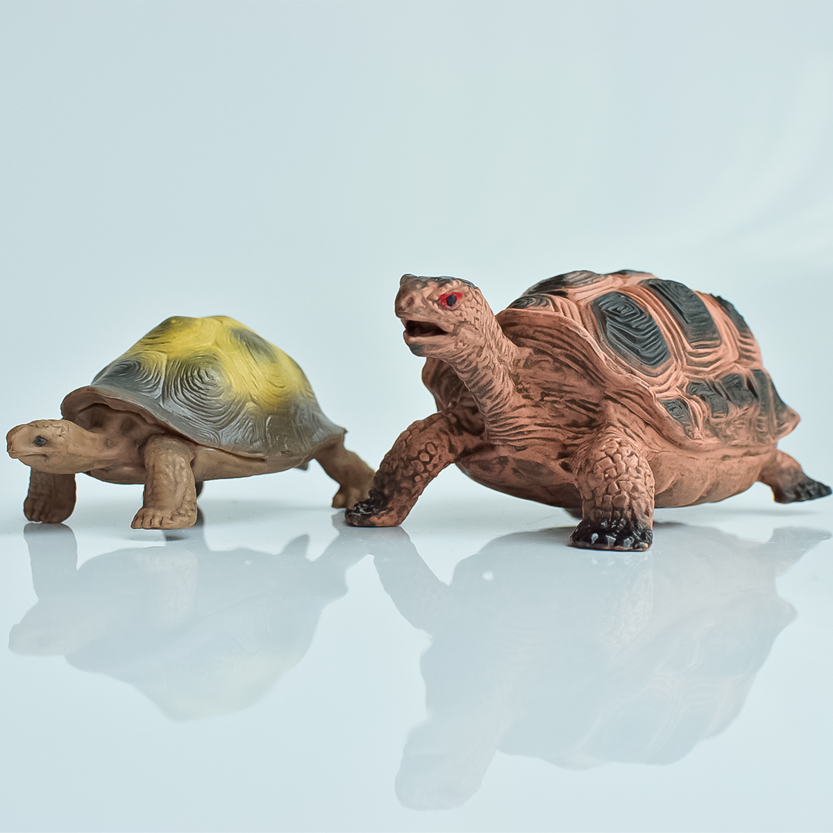 Painted Realistic Animal Turtl - Marine Aquarium Tanks avis et prix