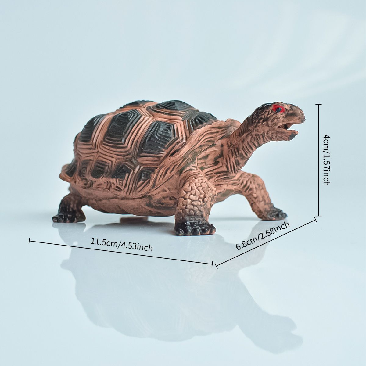 Painted Realistic Animal Turtl - Marine Aquarium Tanks avis et prix