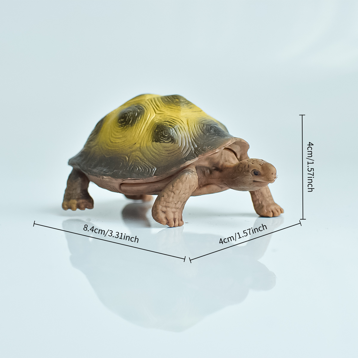 Painted Realistic Animal Turtl - Marine Aquarium Tanks avis et prix