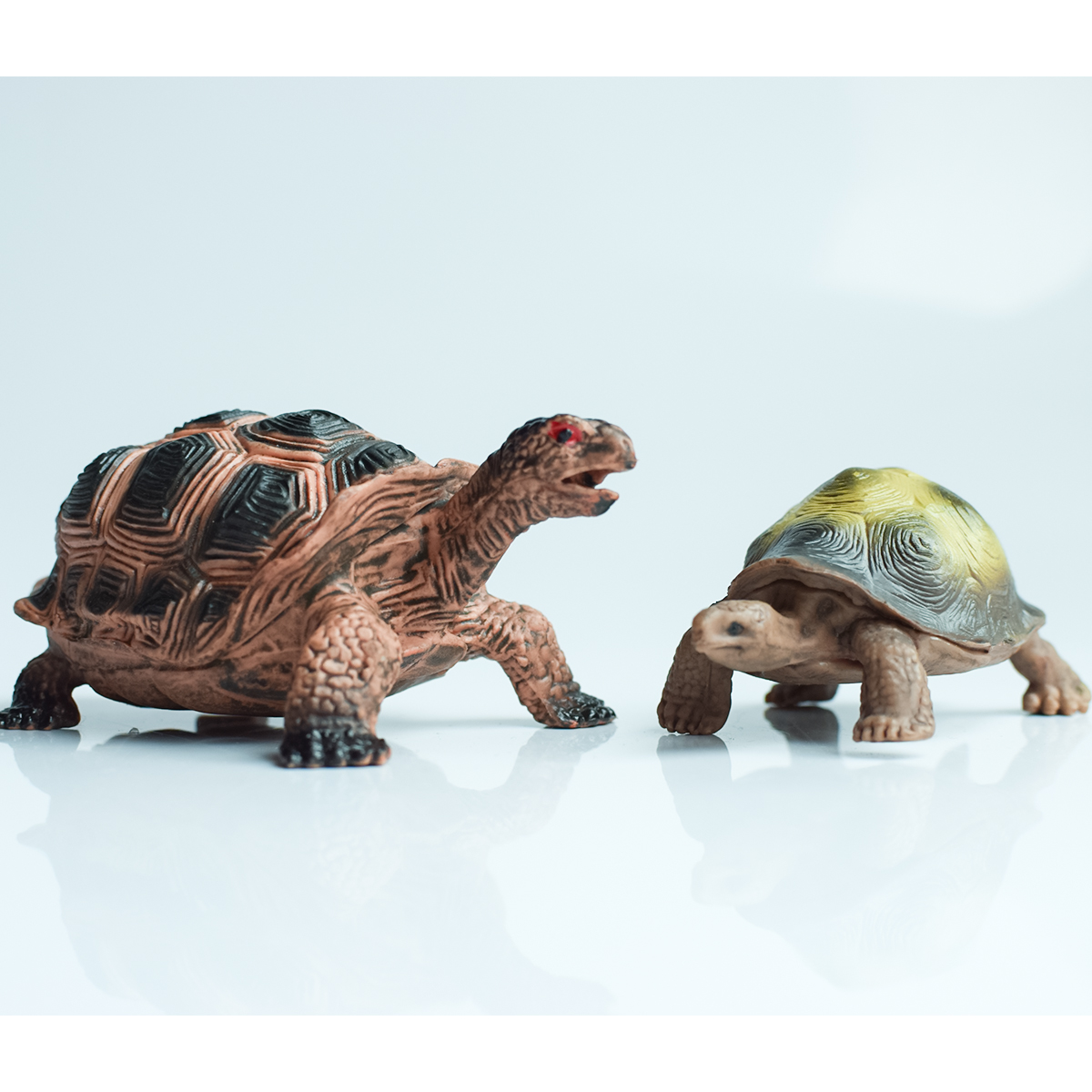 Painted Realistic Animal Turtl - Marine Aquarium Tanks avis et prix