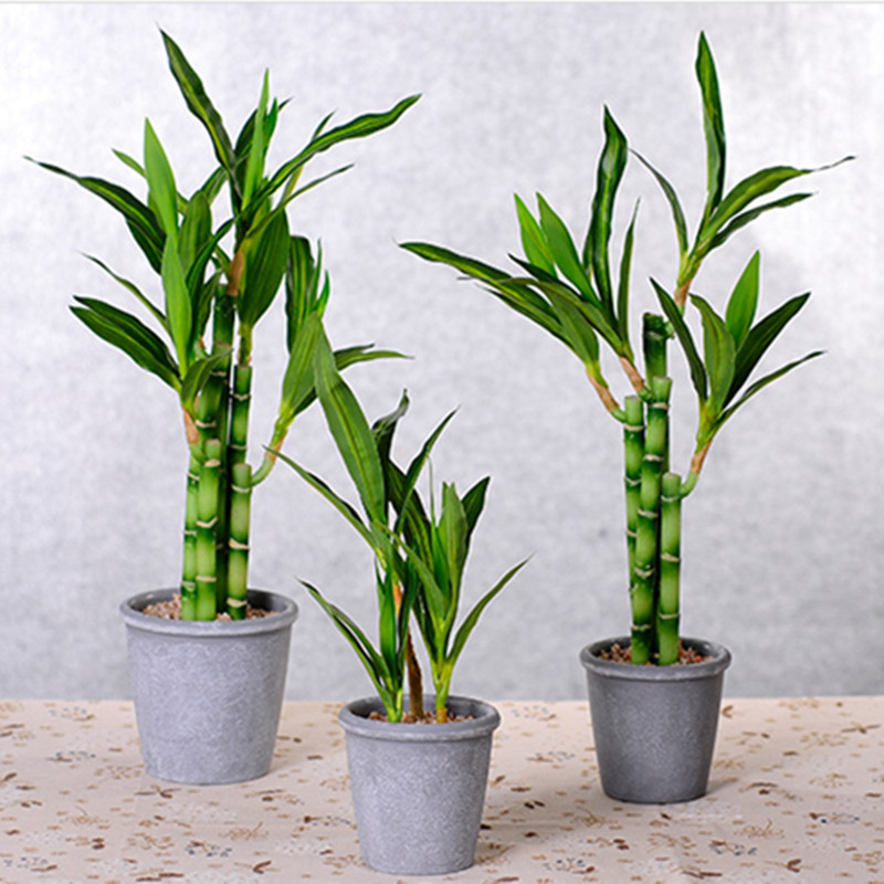 New 40cm rFtificial Lucky Bamb - Aquarium Marine Plants avis et prix
