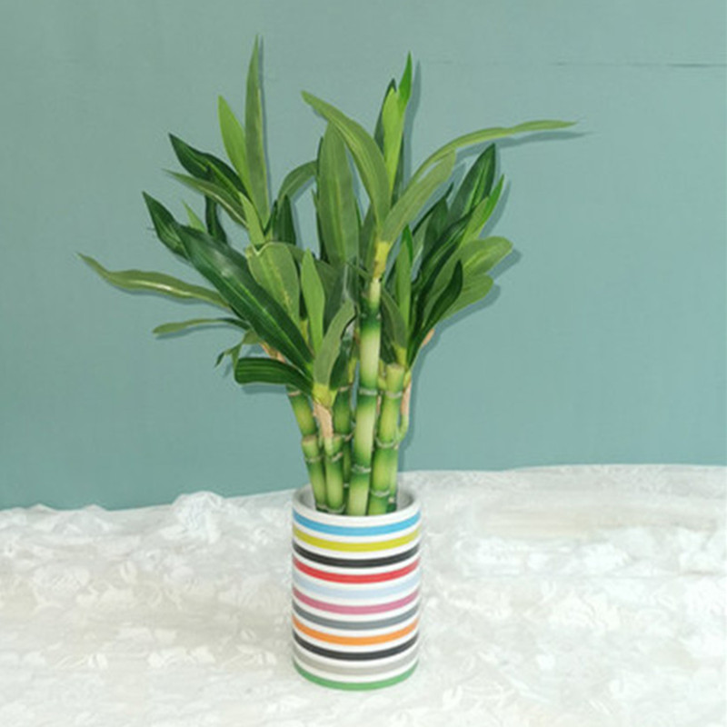 New 40cm rFtificial Lucky Bamb - Aquarium Marine Plants avis et prix