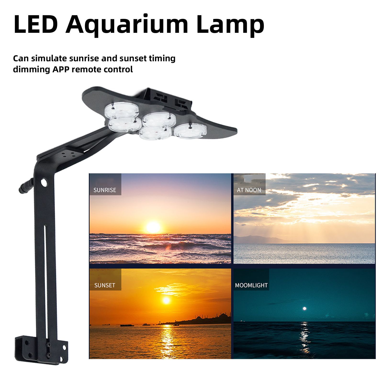 LED Marine Aquarium Coral Aqua - Marine Aquarium Tanks avis et prix