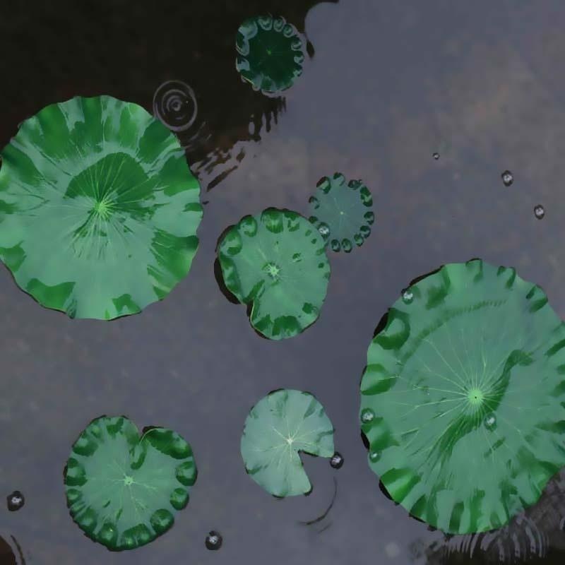 2026 Artificial Water Lily Lot - Aquarium Marine Plants avis et prix