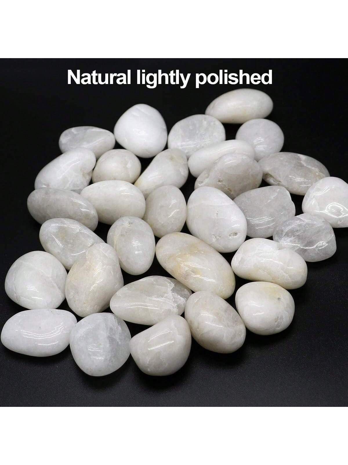 River Rocks Decorative Ornamen - Marine Aquarium Tanks avis et prix