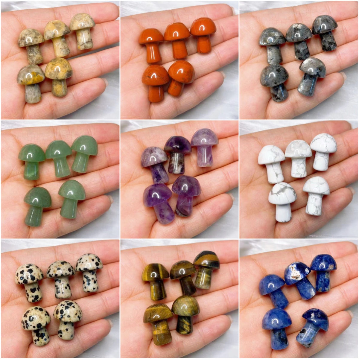 Natural Crystal Mini Mushroom  - Aquarium Marine Plants avis et prix