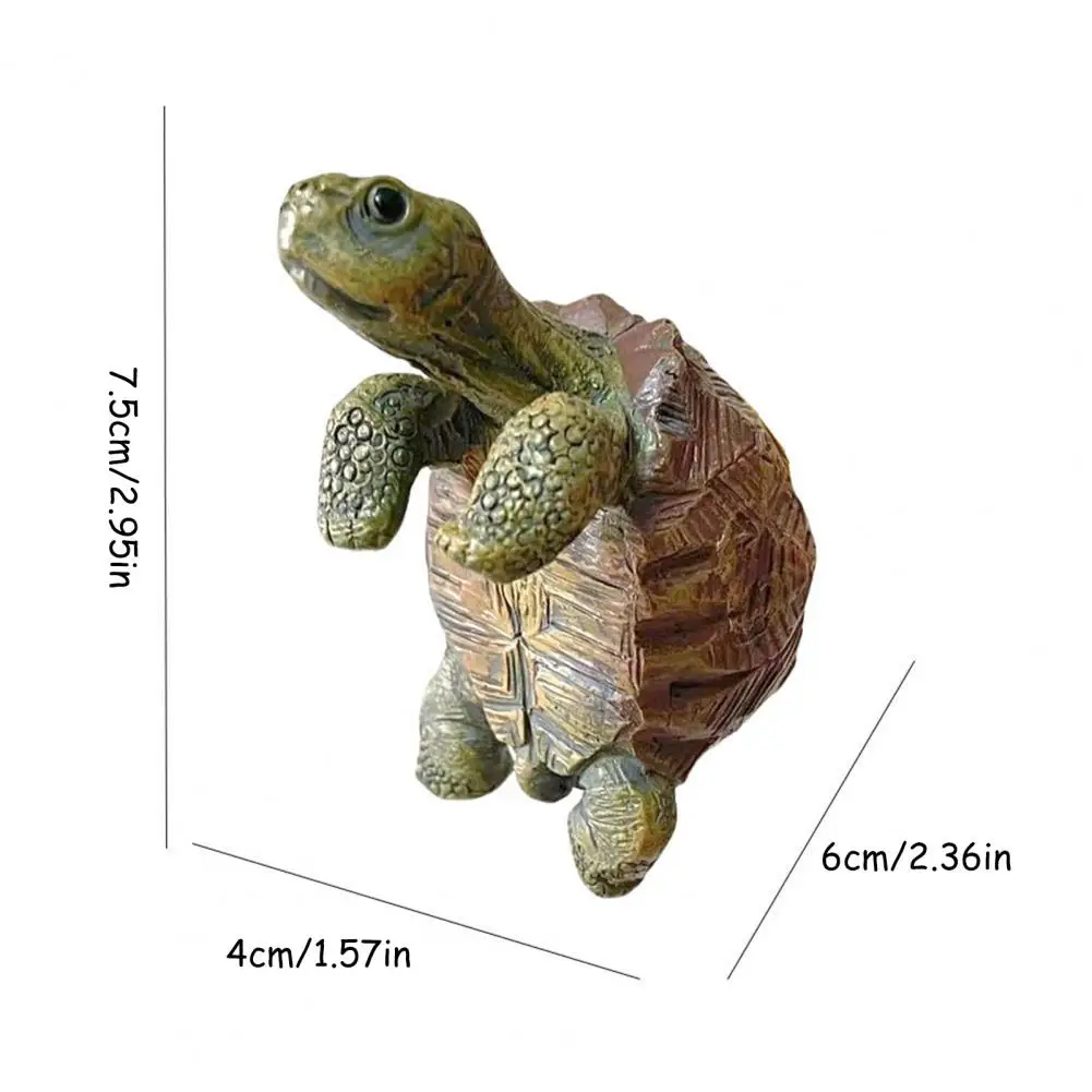 Fishing Turtle Hanging Turtle  - Marine Aquarium Tanks avis et prix