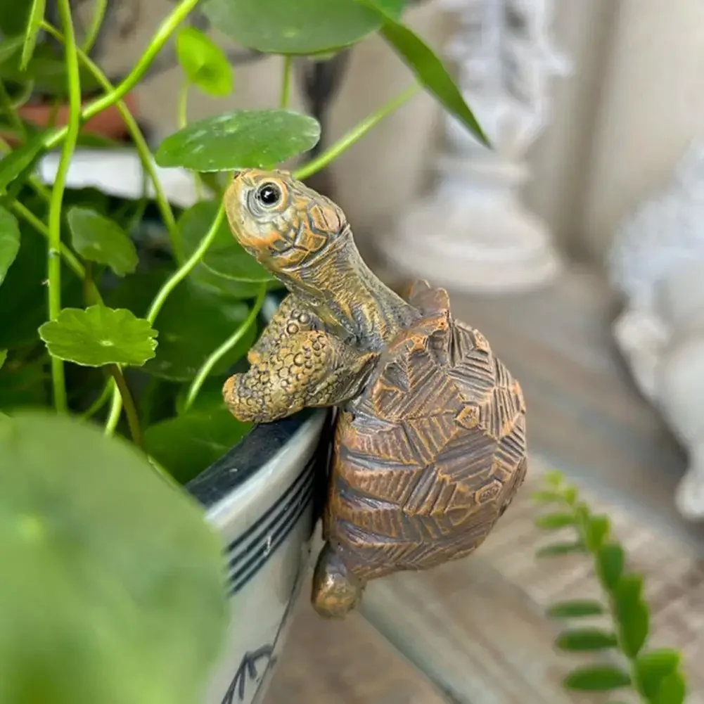 Fishing Turtle Hanging Turtle  - Marine Aquarium Tanks avis et prix