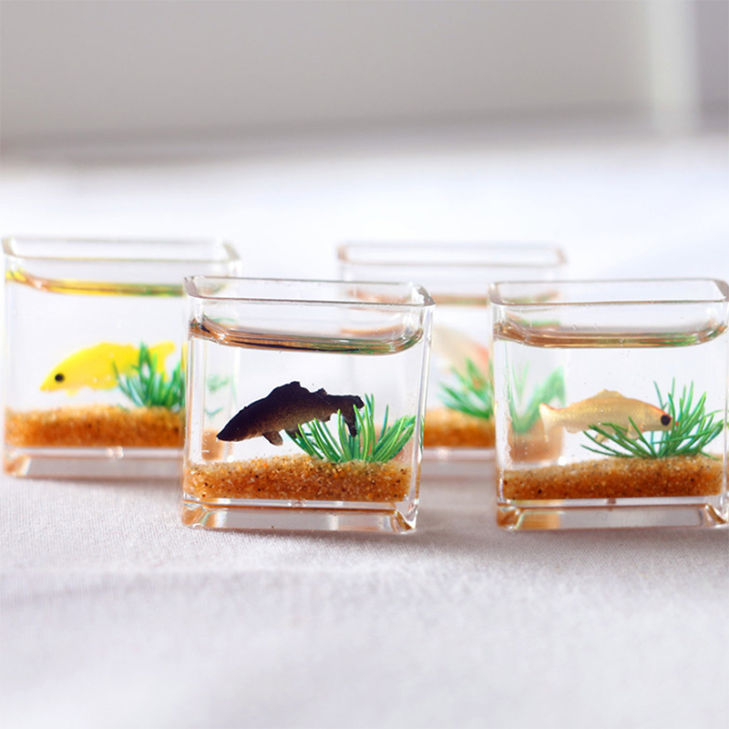 1Pc Mini Fish Tank Random Colo - Marine Aquarium Tanks avis et prix