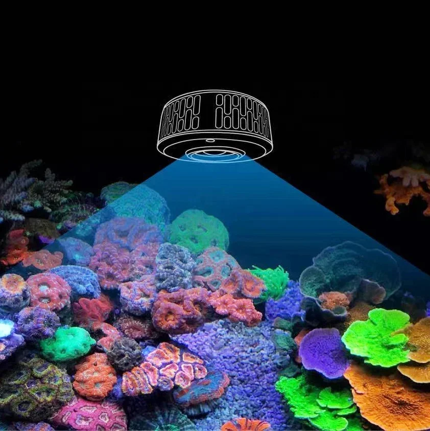 A7 II 100W WiFi App Phone Cont - Marine Aquarium Lights For Sale avis et prix