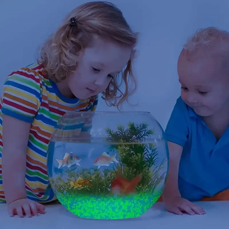 1000pcs 3-5mm Luminous Sand Gl - Marine Aquarium Tanks avis et prix