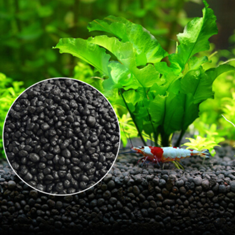 Aquarium Plant Seeds Soil Fish - Aquarium Marine Plants avis et prix