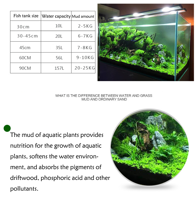Aquarium Plant Seeds Soil Fish - Aquarium Marine Plants avis et prix
