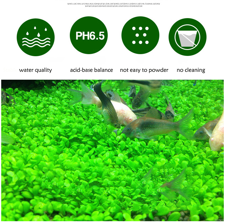 Aquarium Plant Seeds Soil Fish - Aquarium Marine Plants avis et prix