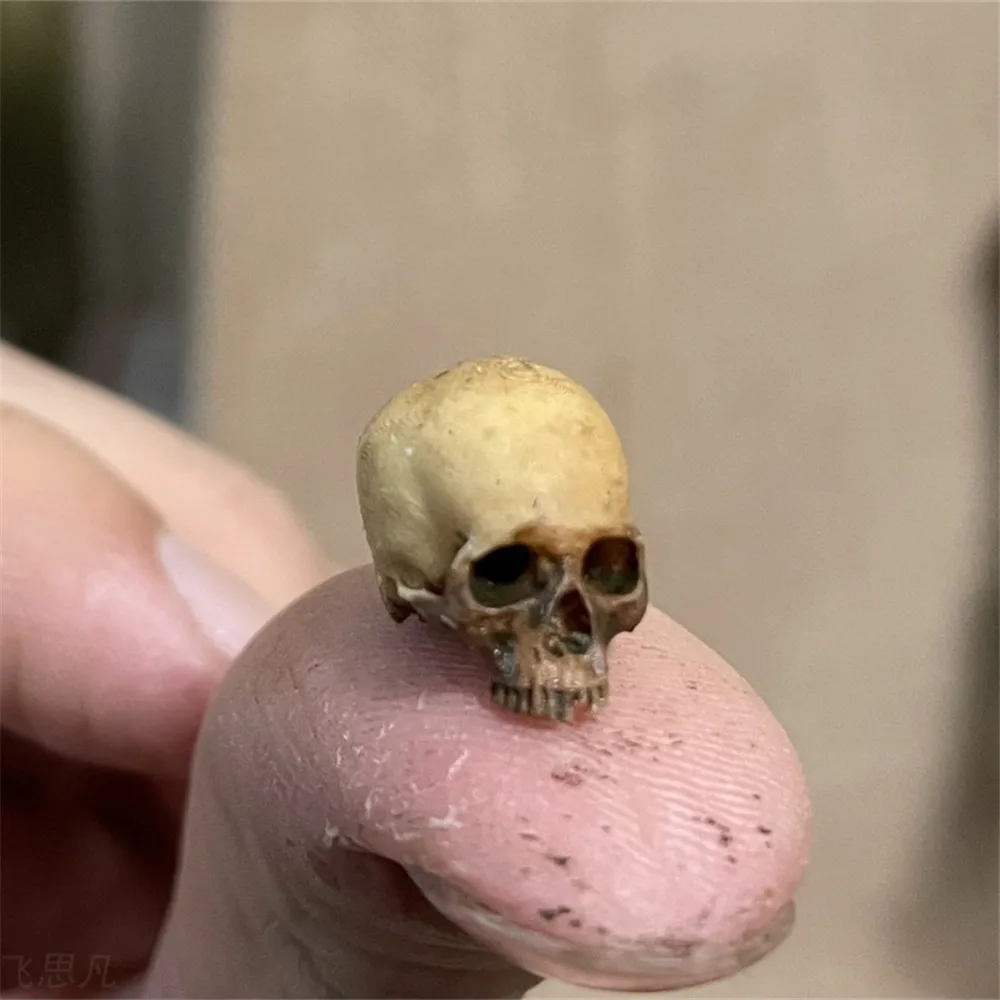 Mini Skull High Quality Miniat - Aquarium Marine Plants avis et prix