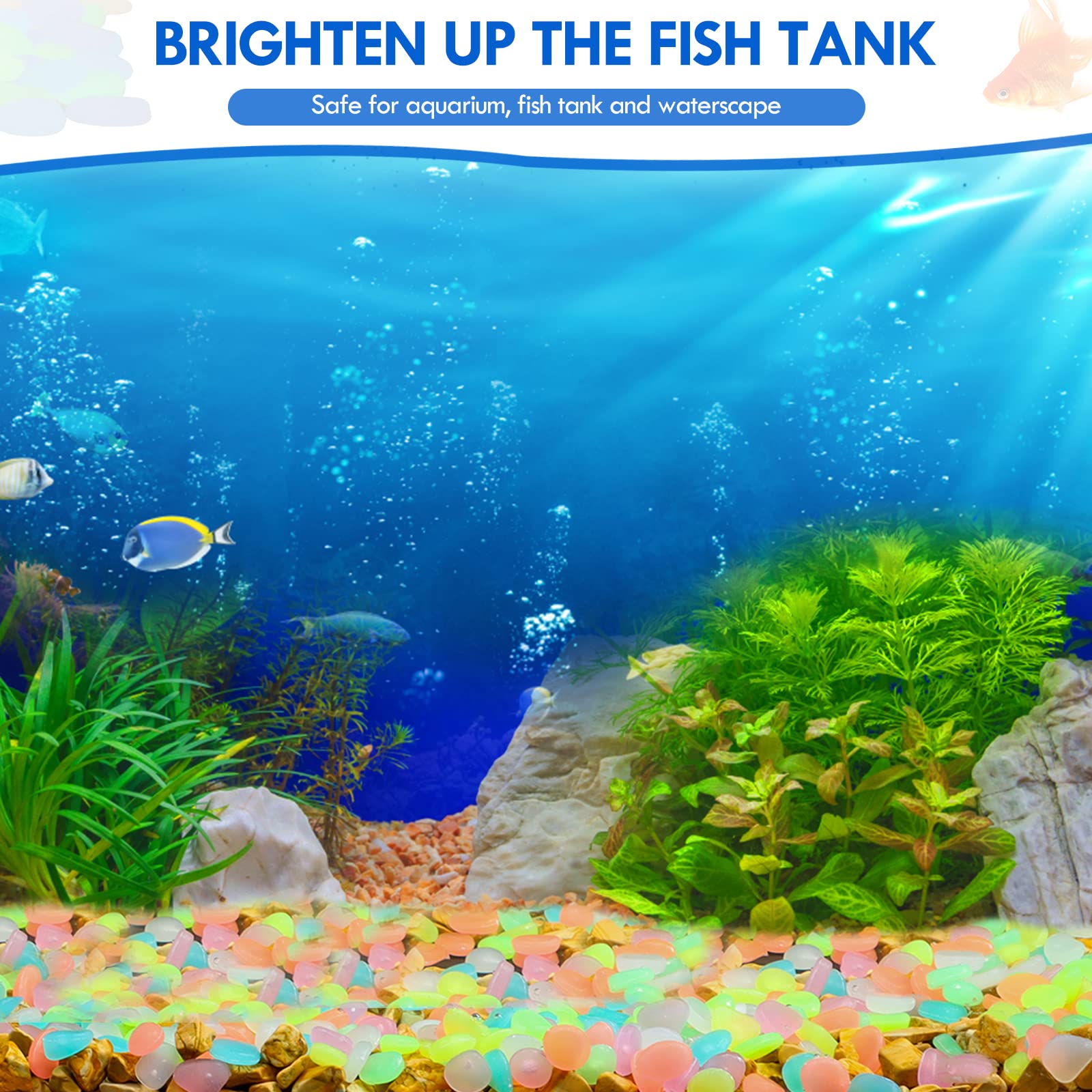 100Pcs Glow in the Dark Garden - Marine Aquarium Tanks avis et prix