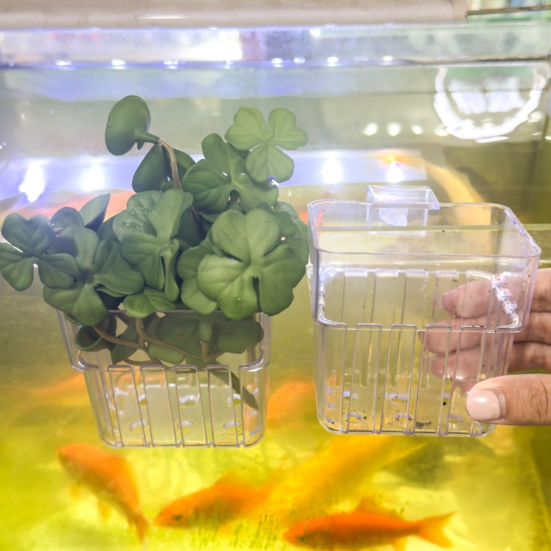 1/5pcs Aquarium Decoration Pla - Marine Aquarium Tanks avis et prix