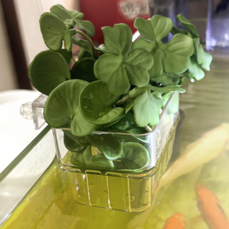 1/5pcs Aquarium Decoration Pla - Marine Aquarium Tanks avis et prix