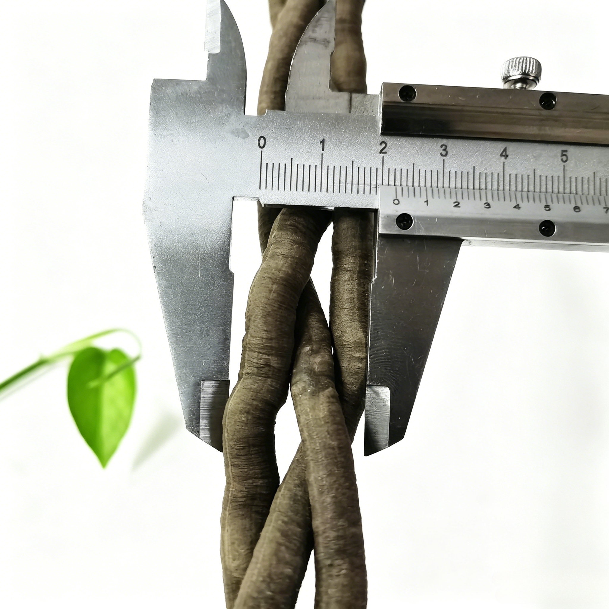 100cm Artificial Vine Plant Cl - Aquarium Marine Plants avis et prix