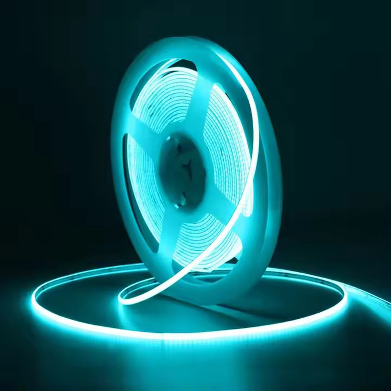 5m12V 24V 3mm 5mm 8mm COB Flex - Marine Aquarium Game avis et prix